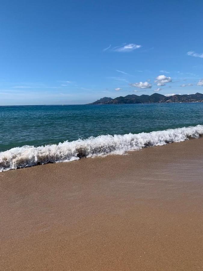 Cannes Old Port, Seafront & Seaview, Yacht Show Port Exteriér fotografie