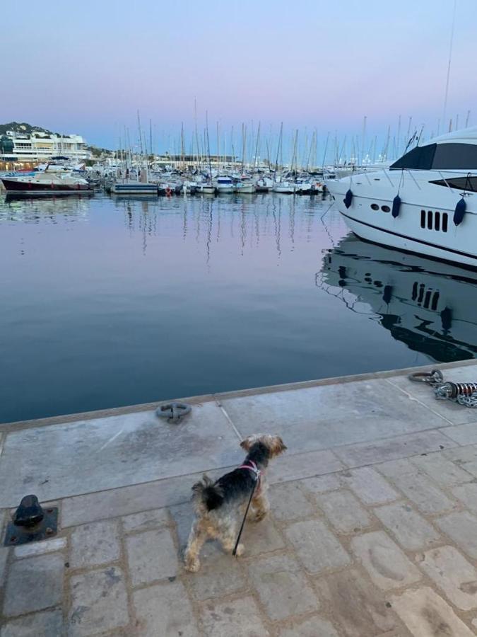 Cannes Old Port, Seafront & Seaview, Yacht Show Port Exteriér fotografie